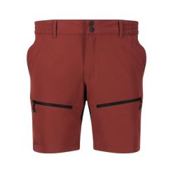 Spodenki trekkingowe damskie Whistler Avatar. Brązowe szorty WHISTLER, bez wzorów, sportowe. Za 179.99 zł.