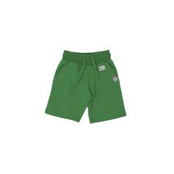 Podstawowe dziecięce bermudy polarowe z małym logo. Zielone szorty LEONE 1947 APPAREL, bez wzorów, z polaru, sportowe. W wyprzedaży za 68.80 zł.