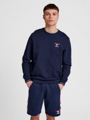 Bluza Hummel IC Dayton. Niebieskie bluzy Hummel, na wiosnę, xs, bez wzorów, z bawełny, bez kaptura, na fitness i siłownię. Za 286.00 zł.