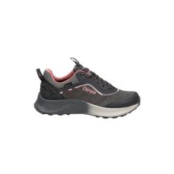 Damskie buty trekkingowe Chiruca Avila 08. Szare trekkingi Chiruca, bez wzorów, z gore-texu, bez zapięcia, trekkingowe, gore-tex. Za 521.00 zł.